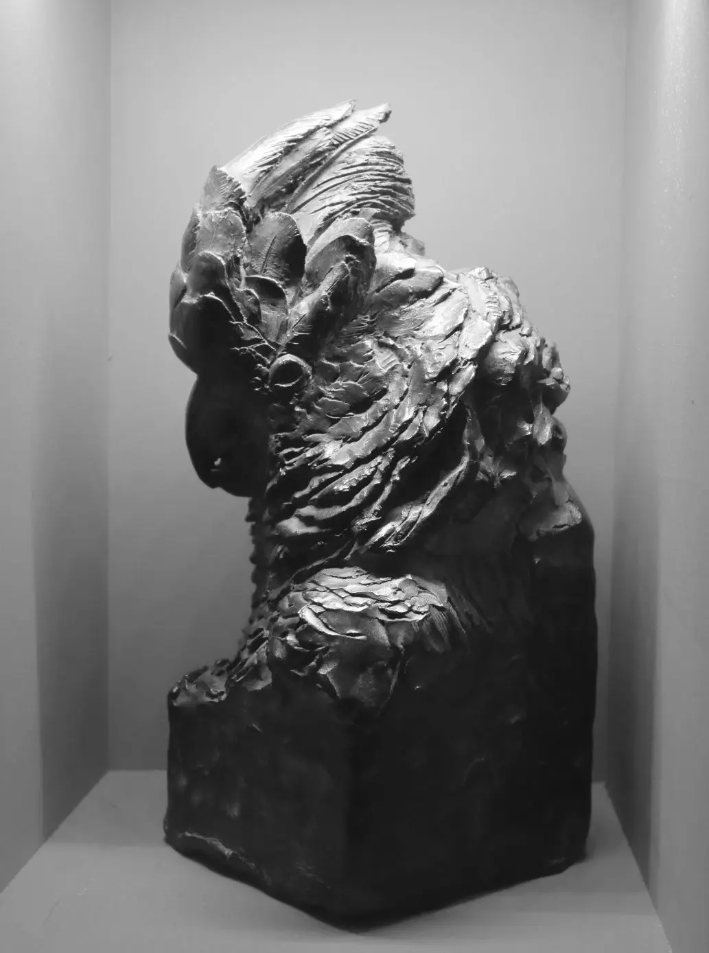 Cacatoes, bronze, @aurelienraynaud