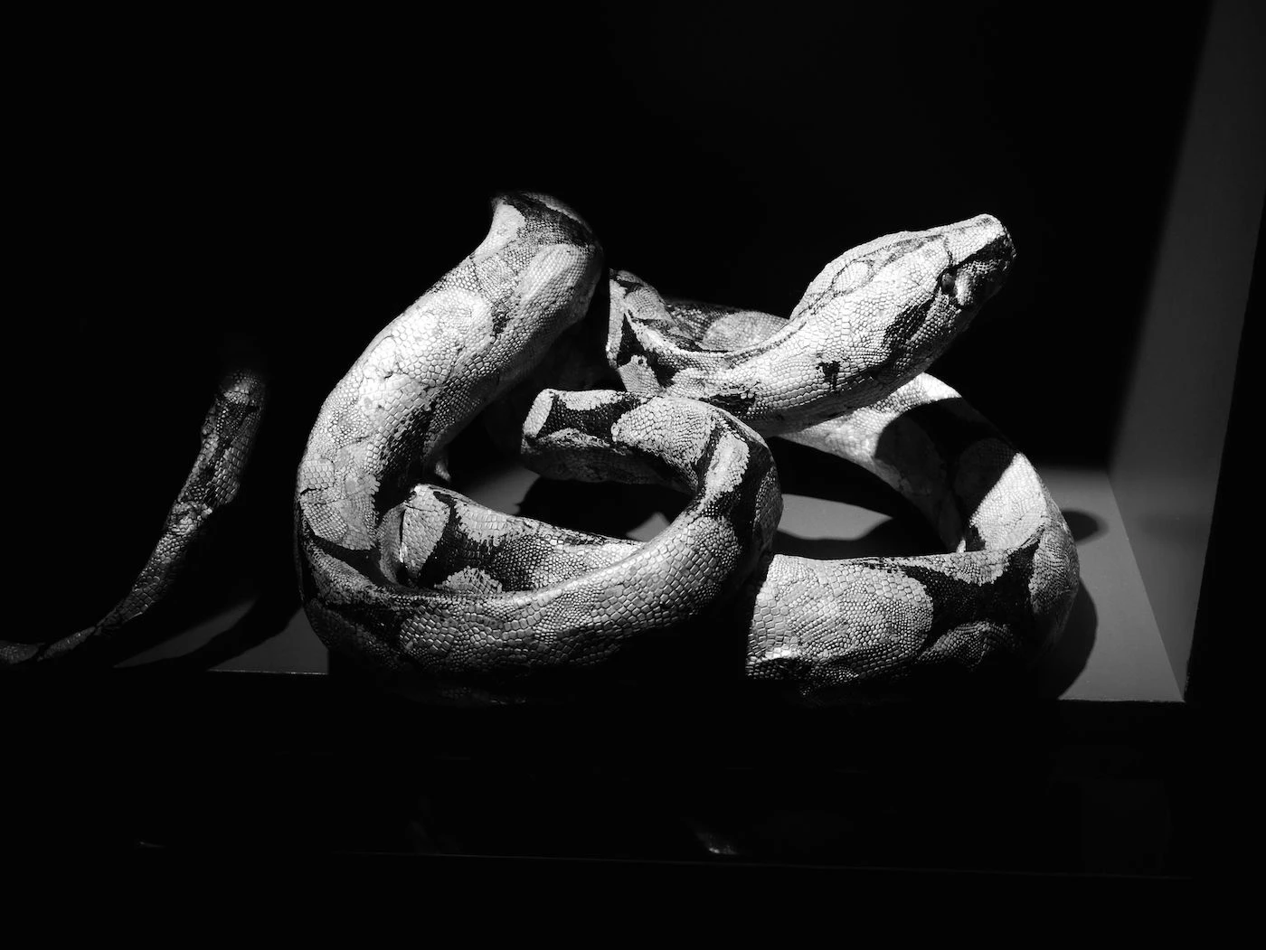 Paper sculpture