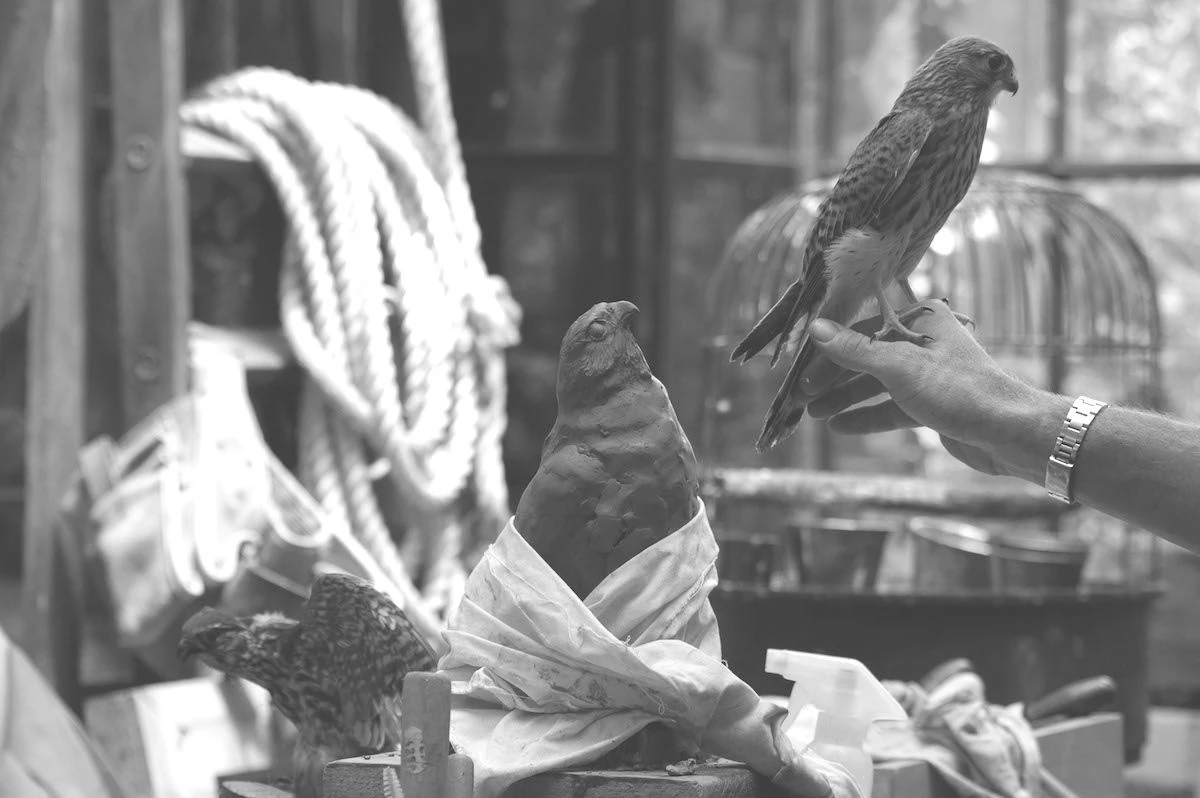 Clay & plaster sculptures